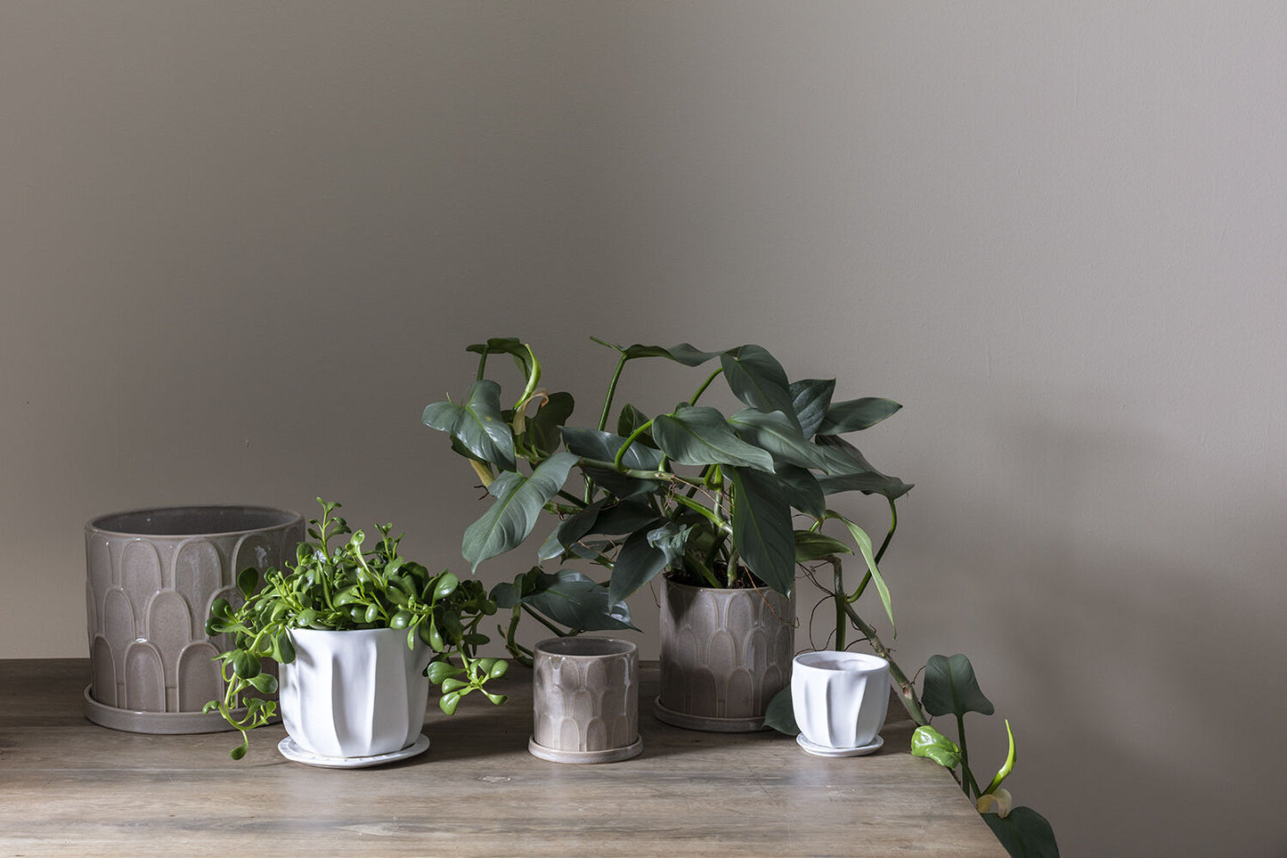Draken Pots