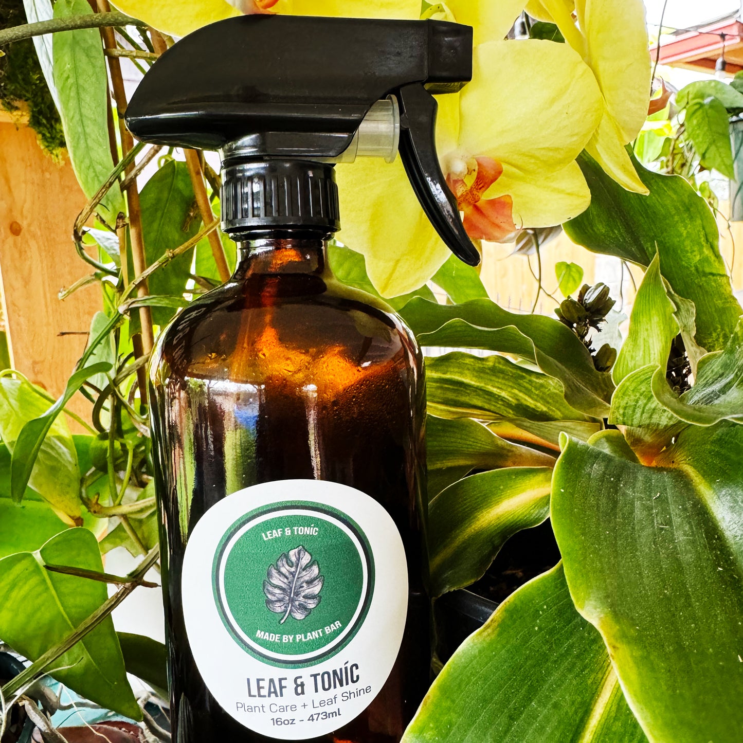 Leaf & Tonic- 16oz Bottle