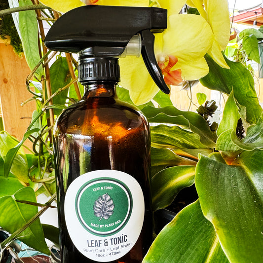 Leaf & Tonic- 16oz Bottle