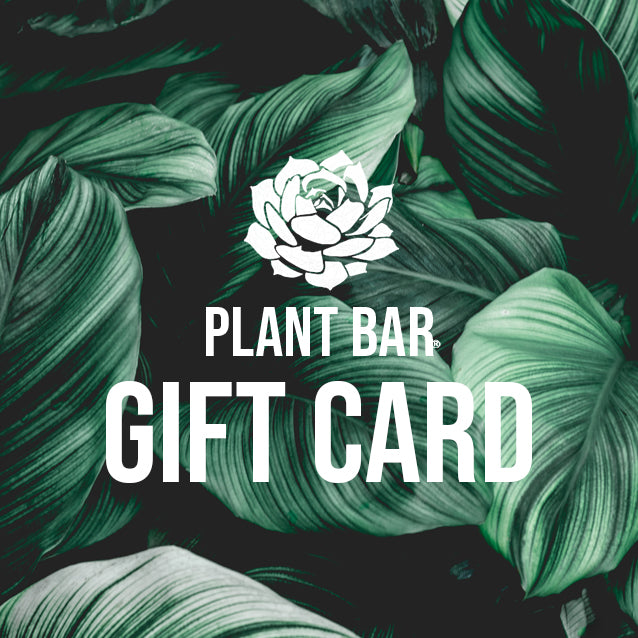 E-GIFT CARD