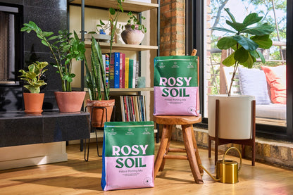Rosy Indoor Potting Soil