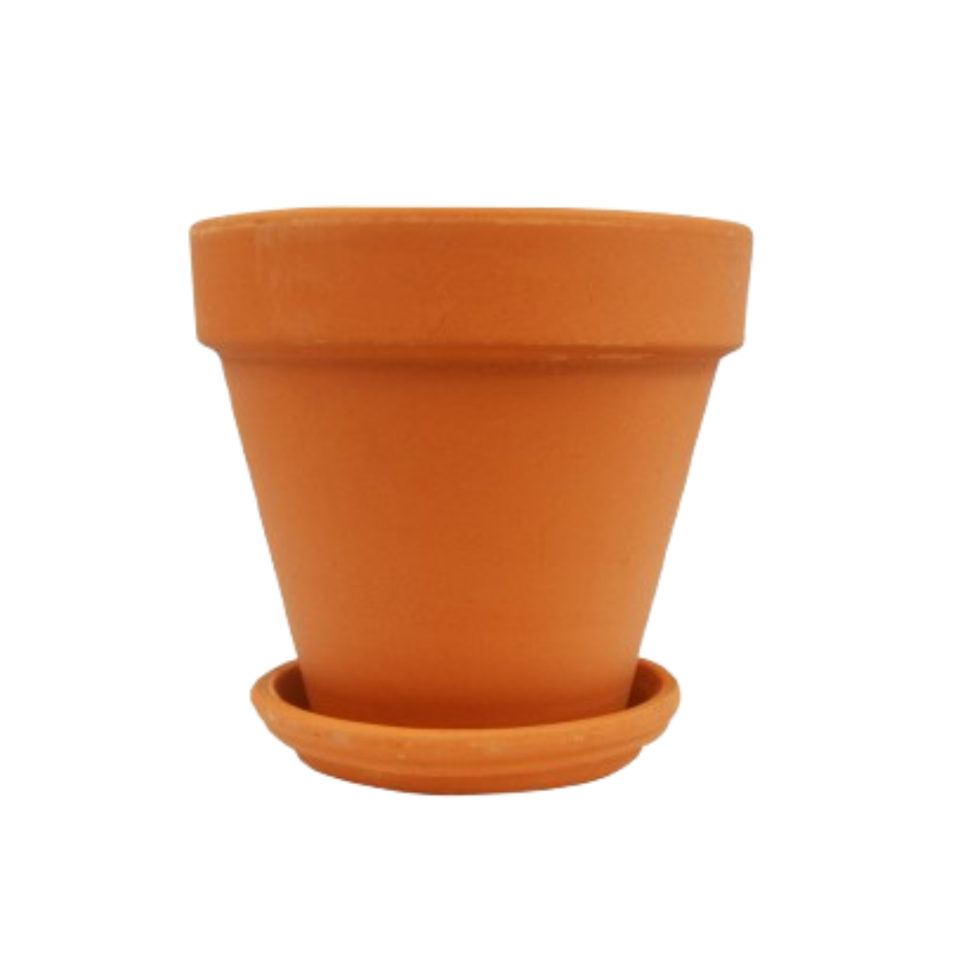 Terra Cotta Planters