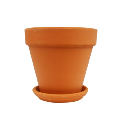 Terra Cotta Planters