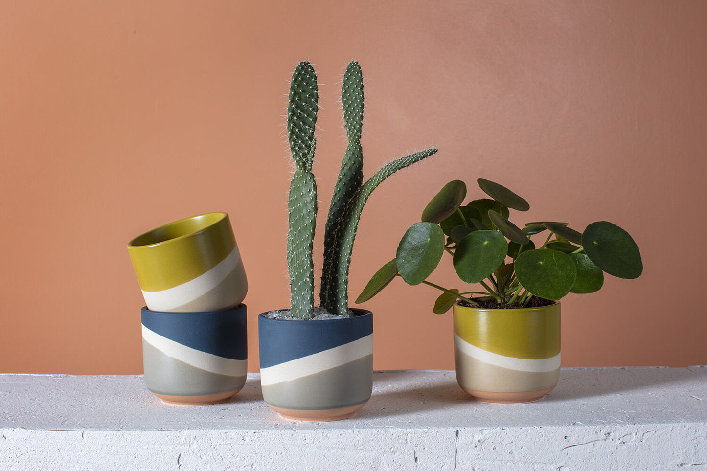 Colorway Pot Collection