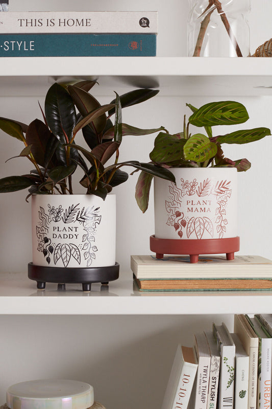 Plant Parent Pot Collection